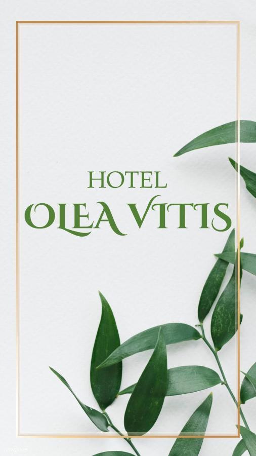 Olea Vitis Hotel Medjugorje Luaran gambar